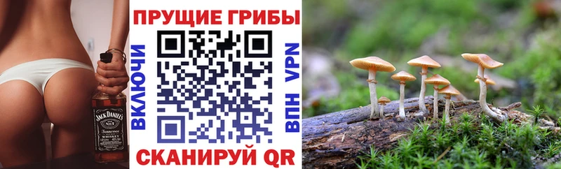 Галлюциногенные грибы мицелий  мега ТОР  Билибино 